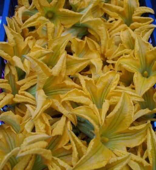 호텔 Agriturismo L Aglientu B&b