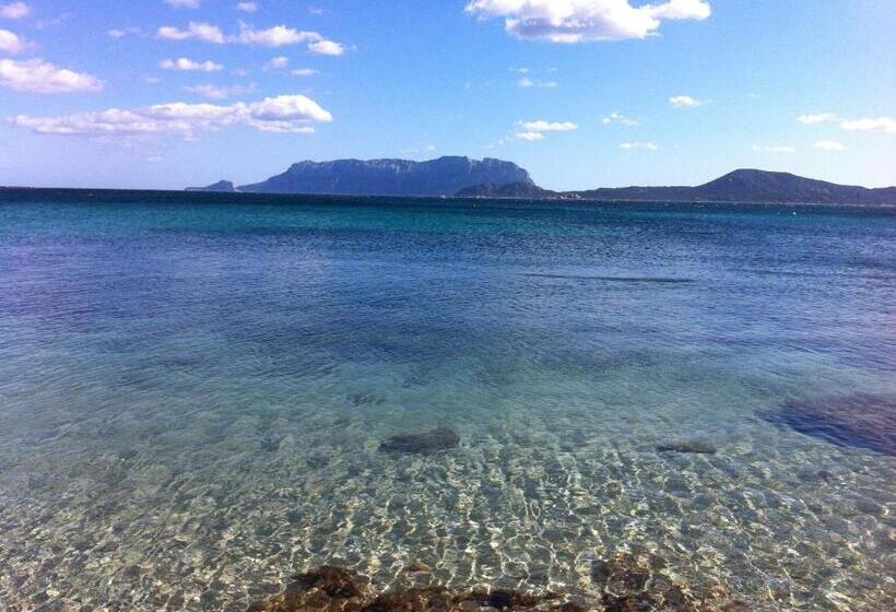 호텔 Agriturismo L Aglientu B&b