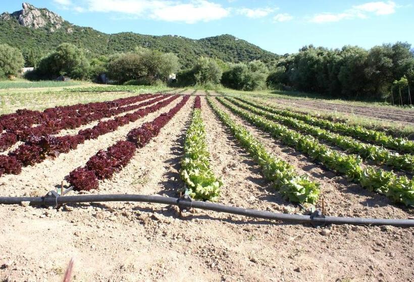 호텔 Agriturismo L Aglientu B&b