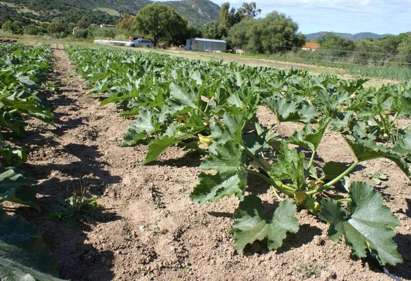 호텔 Agriturismo L Aglientu B&b