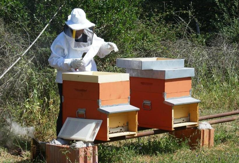 호텔 Agriturismo L Aglientu B&b