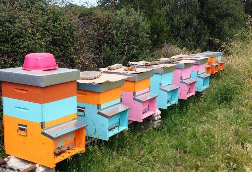 호텔 Agriturismo L Aglientu B&b