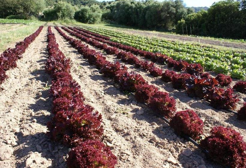 호텔 Agriturismo L Aglientu B&b