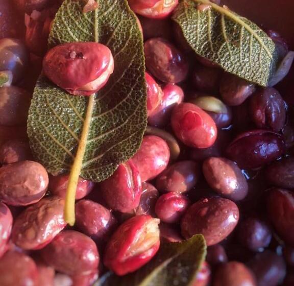 호텔 Agriturismo Fattoria Santa Vittoria