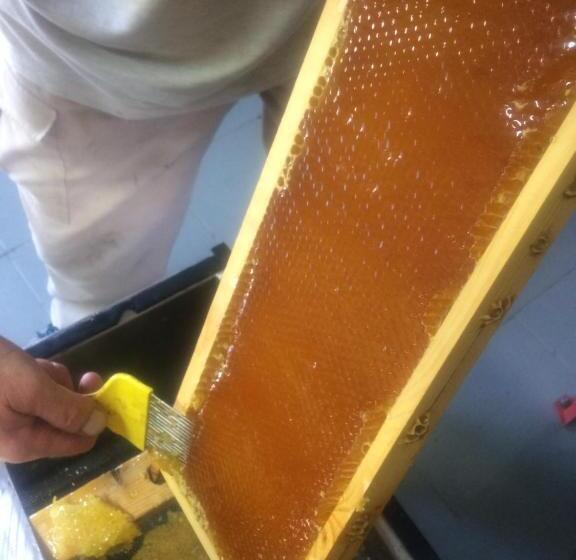 호텔 Agriturismo Fattoria Santa Vittoria