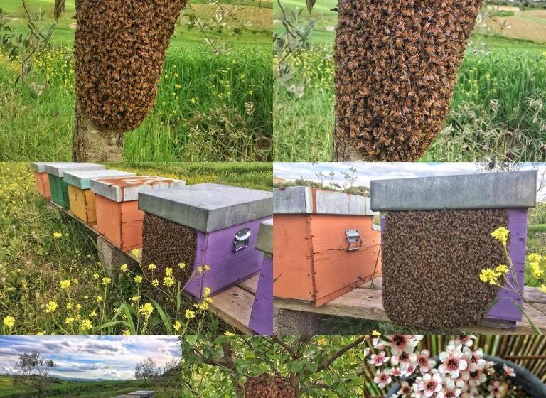 호텔 Agriturismo Fattoria Santa Vittoria