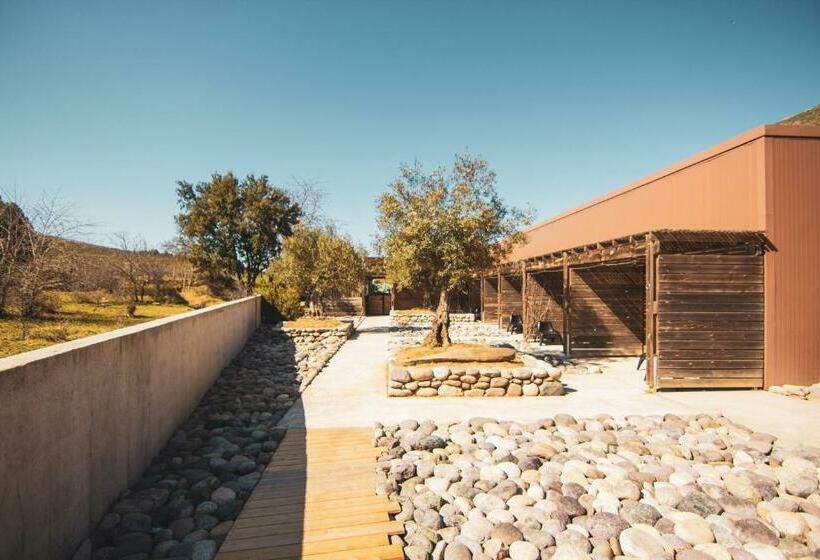 Отель Hôtel Ascosa Aventure