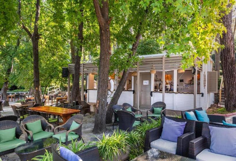 ホテル Marmaris Bay Resort   Adults Only