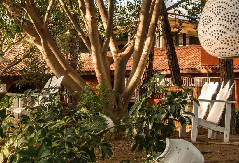 ホテル Marmaris Bay Resort   Adults Only