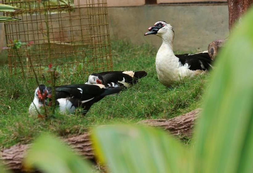 호텔 Oyo 14135 Ashly S Residency