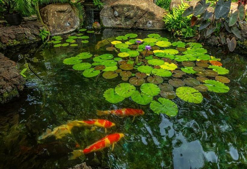 Makena Surf Resort #e202 By Ali I Resorts