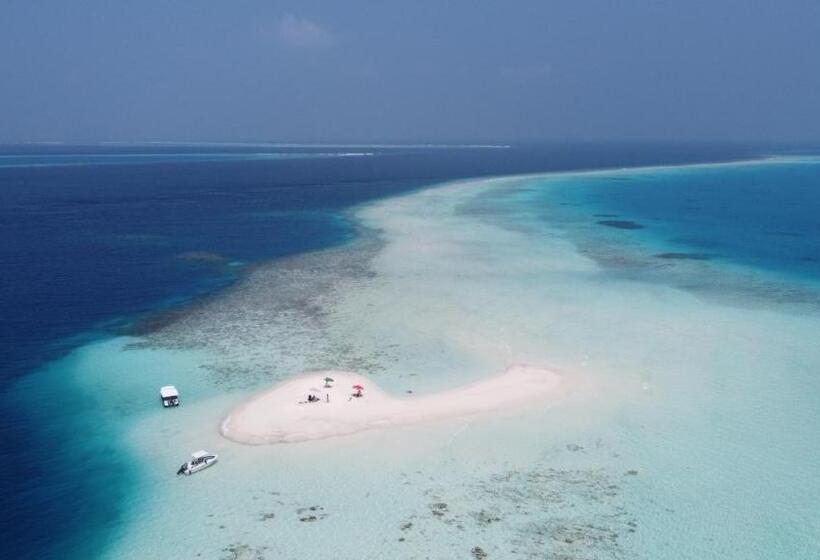 پانسیون Met House