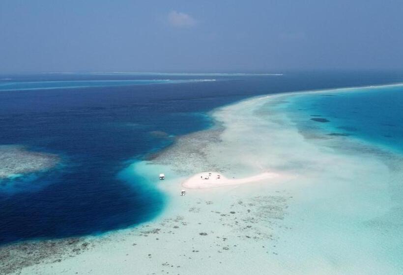 پانسیون Met House