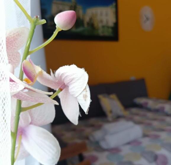 پانسیون Sapore Di Sale   Sicily Rooms