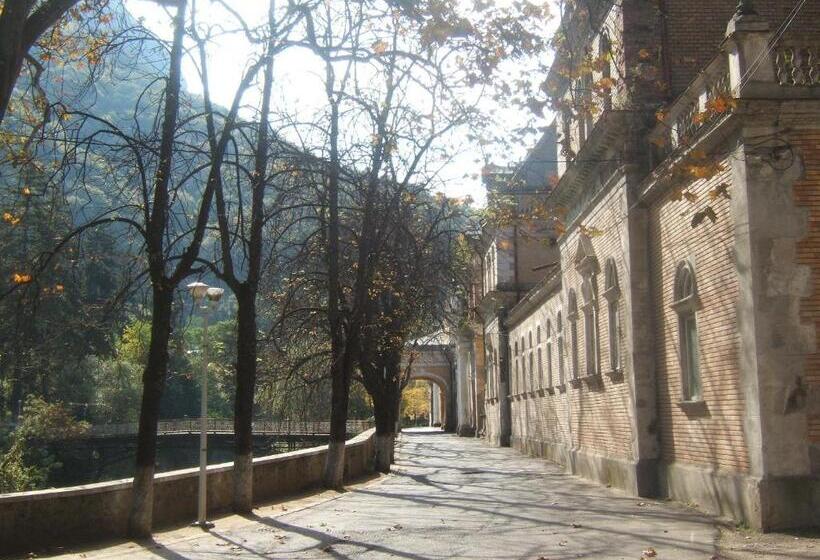 Pensiunea Floare De Colt