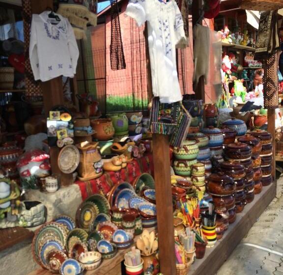 Pensiunea Floare De Colt