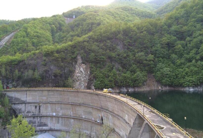 Pensiunea Floare De Colt