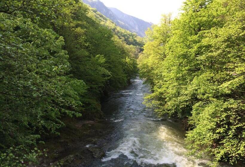 Pensiunea Floare De Colt