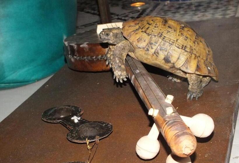 ریاض Dar Faracha Fes