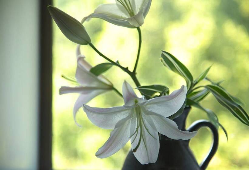 ריוקאן Mashikokan Satoyama Resort