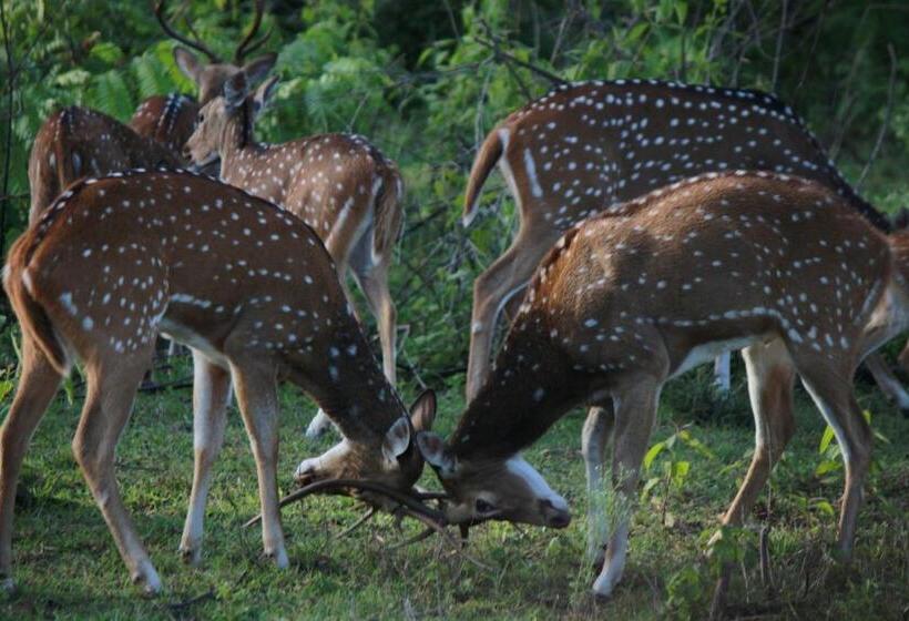 Vividearth Resorts Bandipur