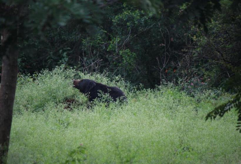 Vividearth Resorts Bandipur