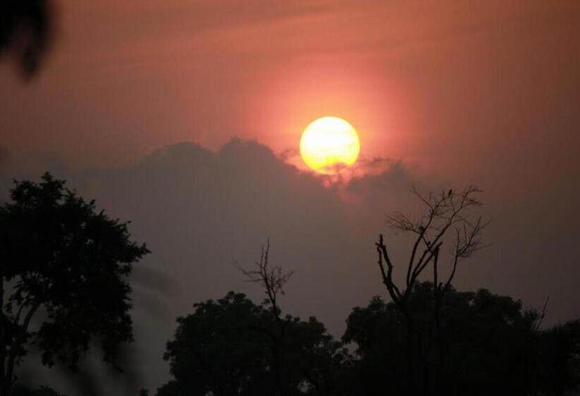 Vividearth Resorts Bandipur