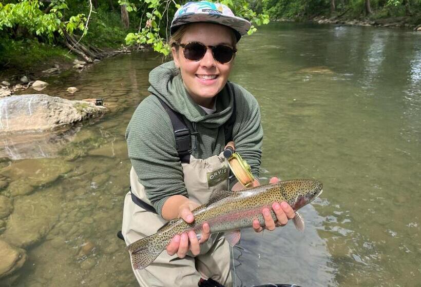 A B&b At Llewellyn Lodge