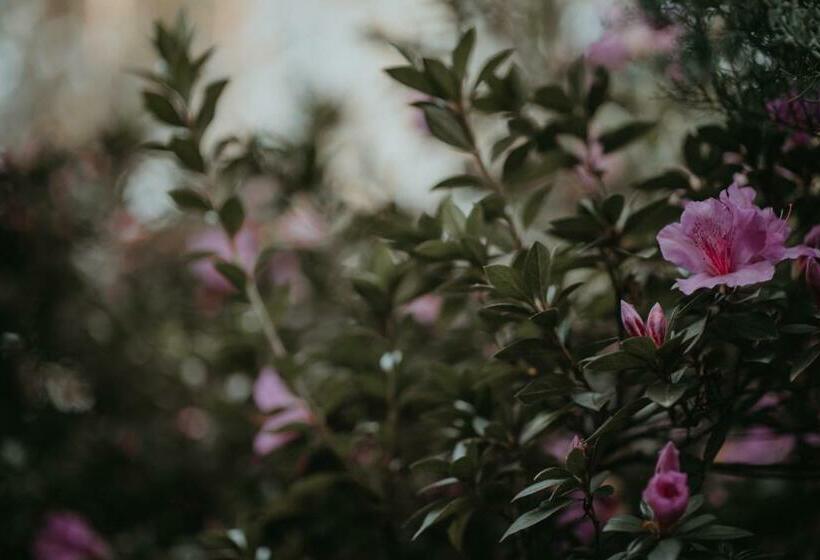 ユースホステル Tsitsikamma Backpackers