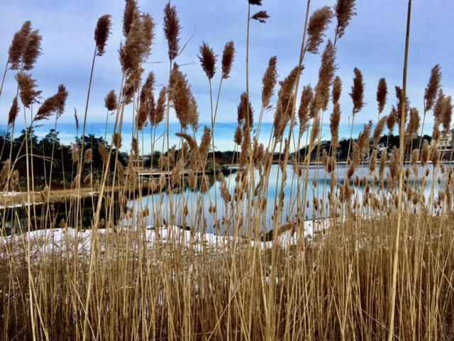 ベッドアンドブレックファースト Captain Simeon Potter House