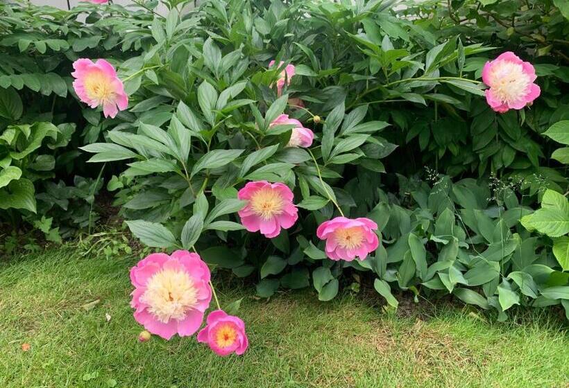 ベッドアンドブレックファースト Captain Simeon Potter House