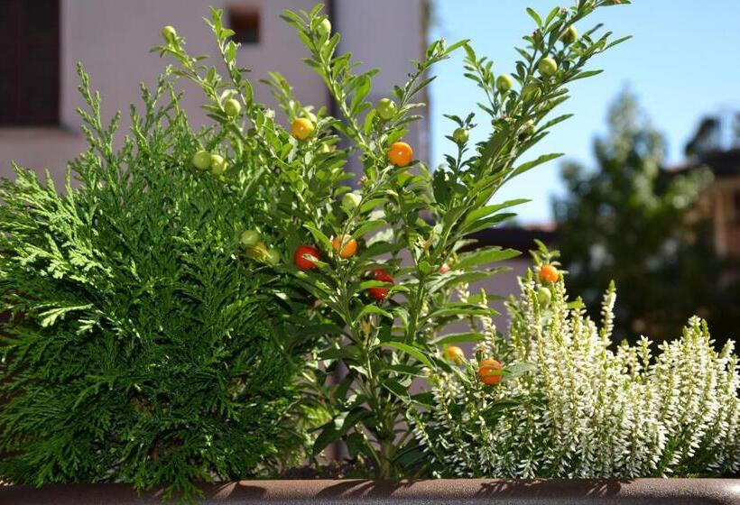 تختخواب و صبحانه In Centro Charme