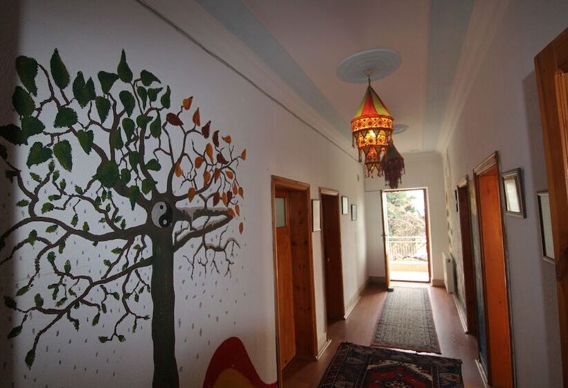 צימר Kose Pension