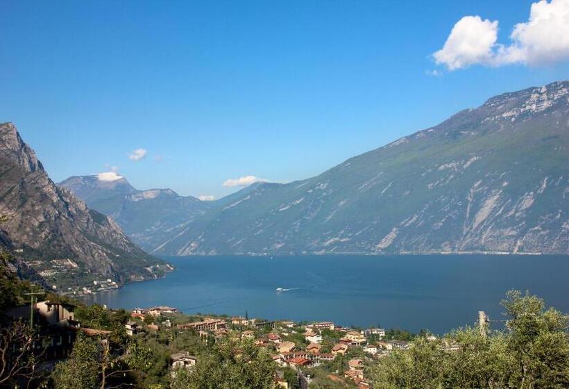 住宿加早餐  Oliveto