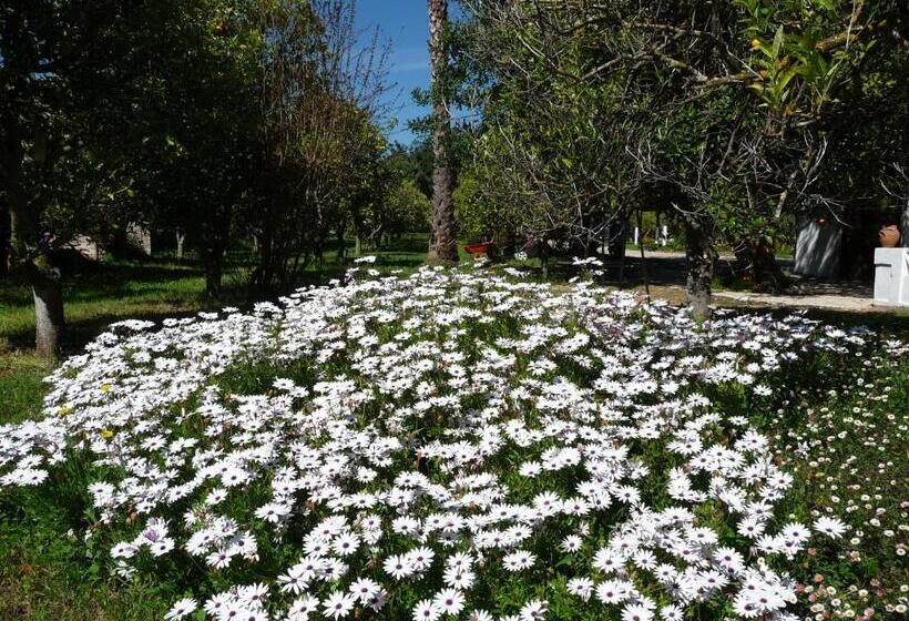 مبيت وإفطار Quinta Quinze