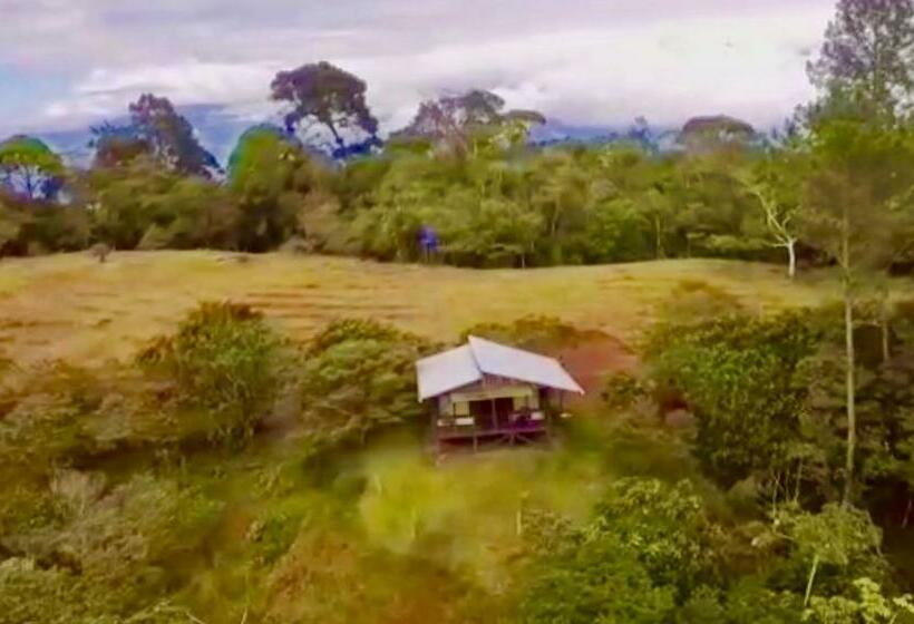 ベッドアンドブレックファースト The Lodge At Reventazon River Mountain Ranch