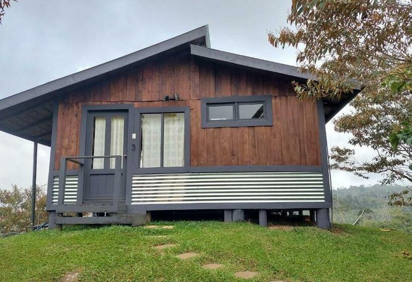ベッドアンドブレックファースト The Lodge At Reventazon River Mountain Ranch
