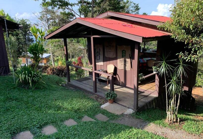 تختخواب و صبحانه The Lodge At Reventazon River Mountain Ranch