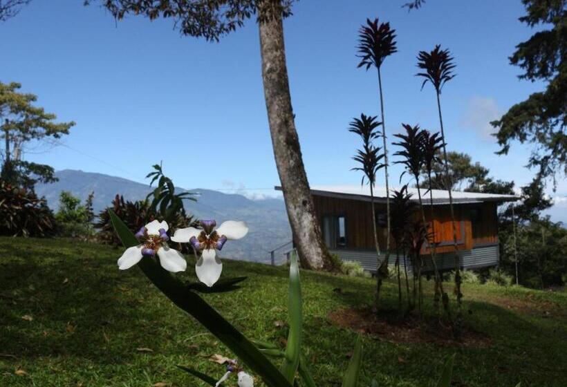 تختخواب و صبحانه The Lodge At Reventazon River Mountain Ranch