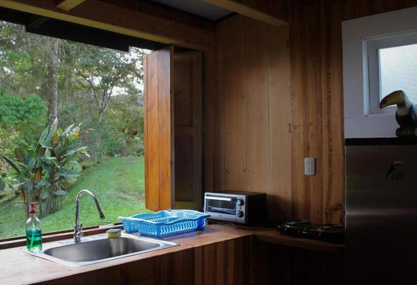 تختخواب و صبحانه The Lodge At Reventazon River Mountain Ranch