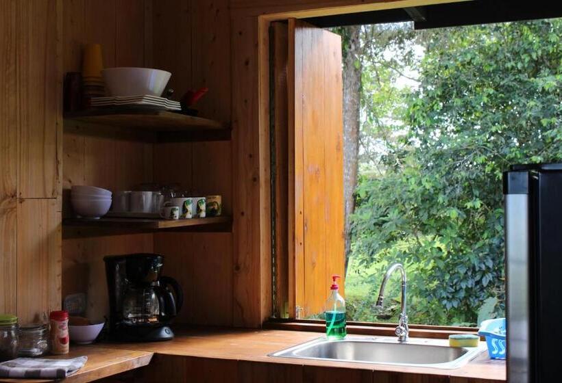 ベッドアンドブレックファースト The Lodge At Reventazon River Mountain Ranch