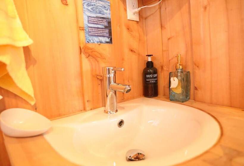 تختخواب و صبحانه The Lodge At Reventazon River Mountain Ranch