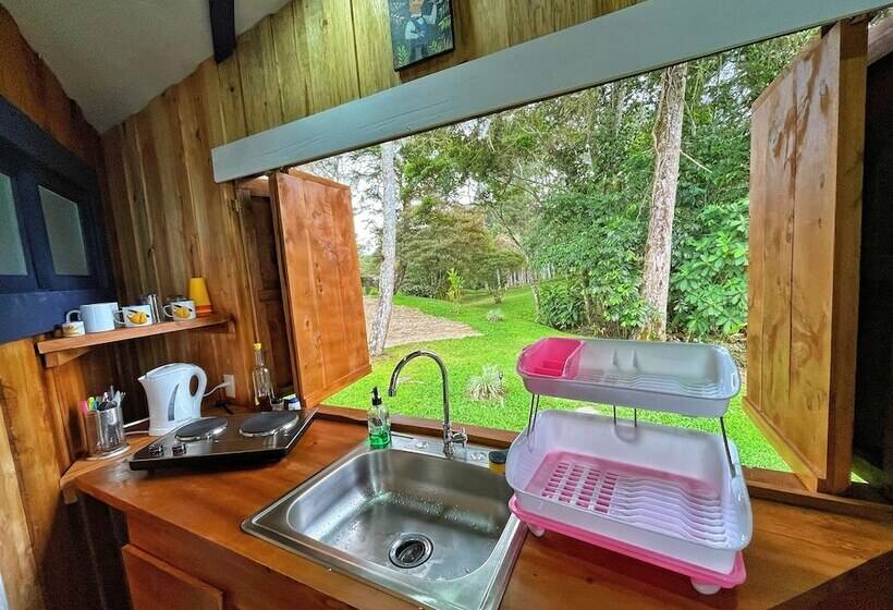 ベッドアンドブレックファースト The Lodge At Reventazon River Mountain Ranch