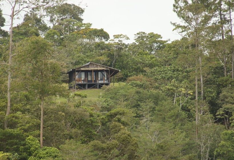 تختخواب و صبحانه The Lodge At Reventazon River Mountain Ranch