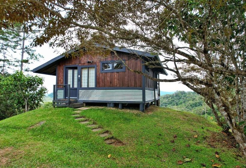 ベッドアンドブレックファースト The Lodge At Reventazon River Mountain Ranch