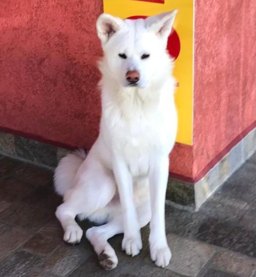 酒店 виктория созопол