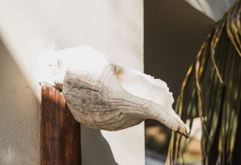 酒店 Casa Punta Coco & Beach Club