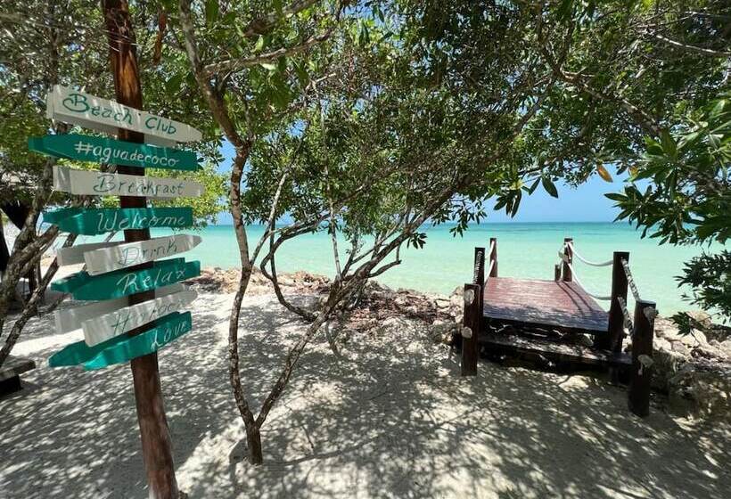 酒店 Casa Punta Coco & Beach Club