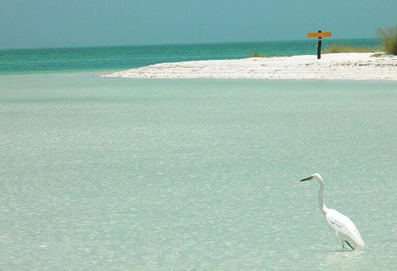 酒店 Casa Punta Coco & Beach Club