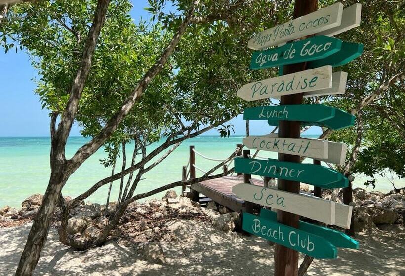 酒店 Casa Punta Coco & Beach Club